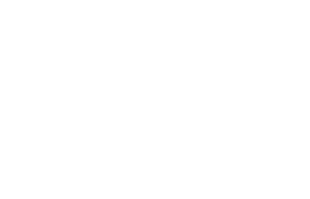 pars daekservice light logo